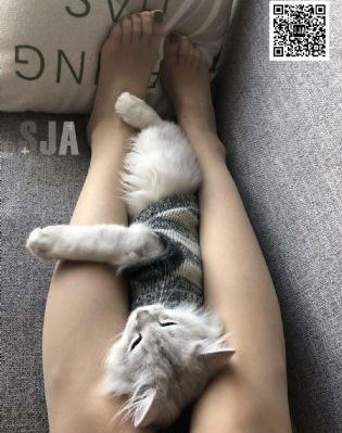 中国国产免费毛卡片_1080韩国电影在线观看